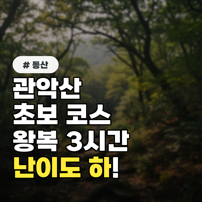 관악산 초보 등산 코스 추천! 왕복 3시간 난이도 하 코스 3가지
