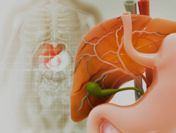 담낭&middot;담도암 담낭&middot;담도암 