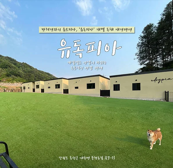 유독피아