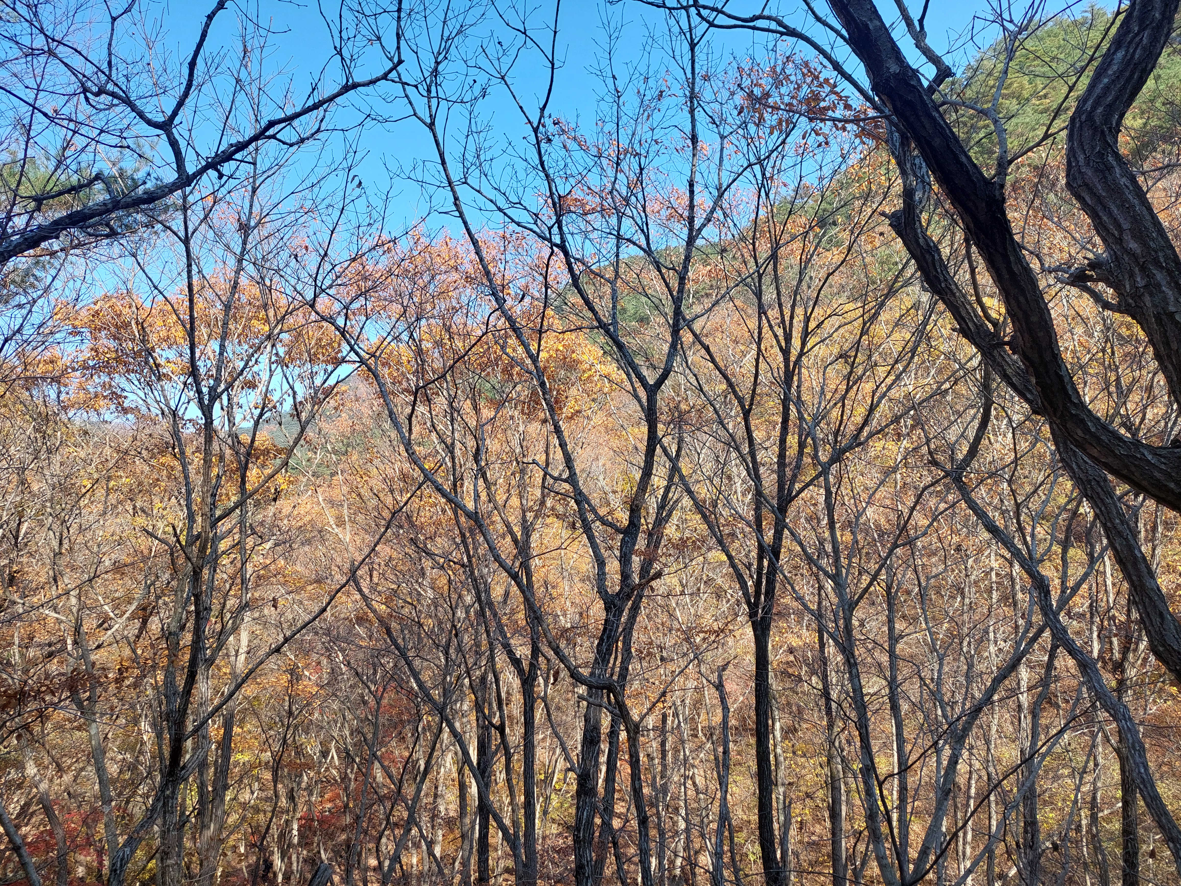 주왕산