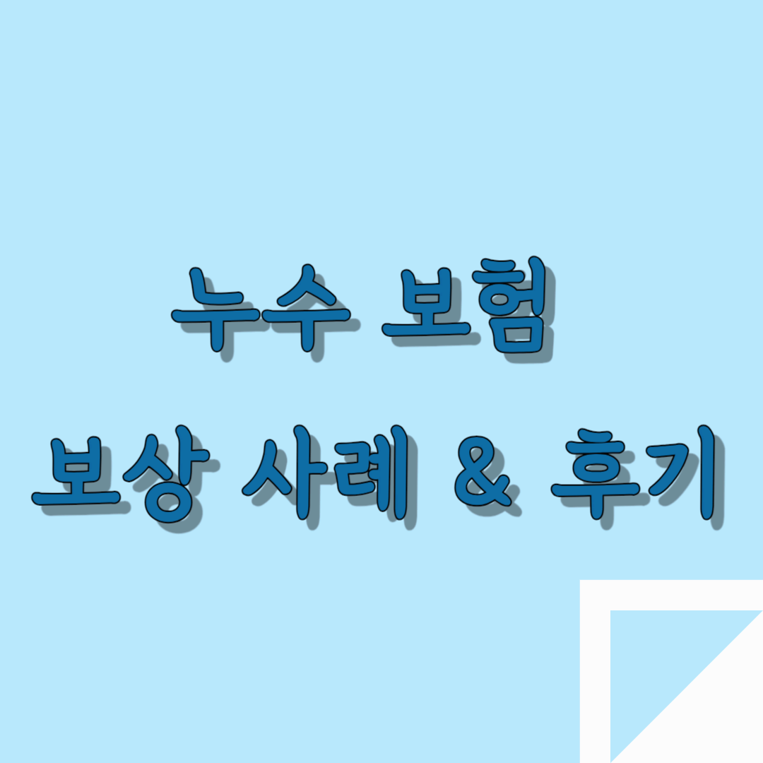 누수보험 보상사례와후기