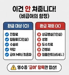 건강보험 비급여 항목