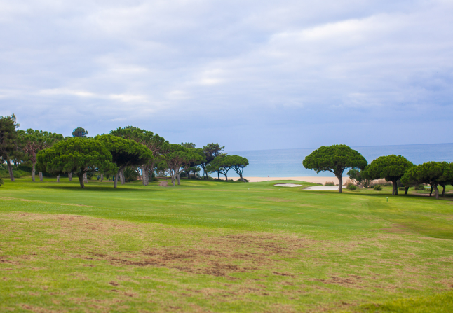 필리핀 골프장 세부cc입니다.