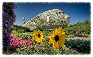 두바이 미라클 가든