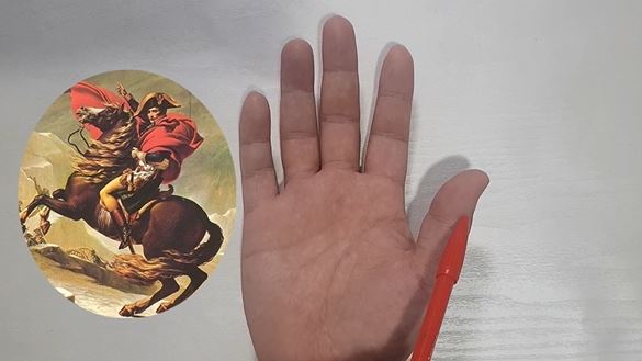 손금 엄지손가락