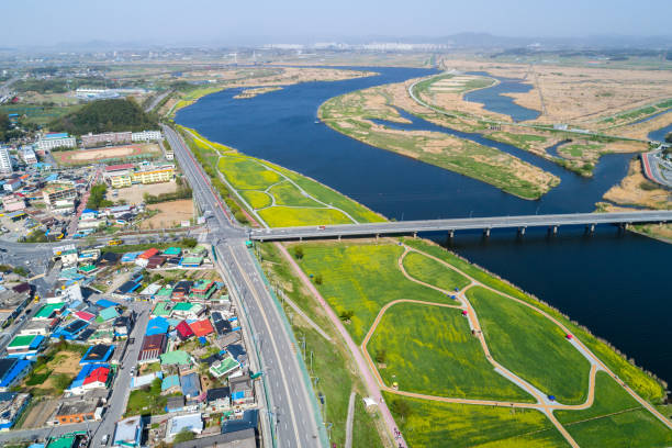 파크골프채 추천