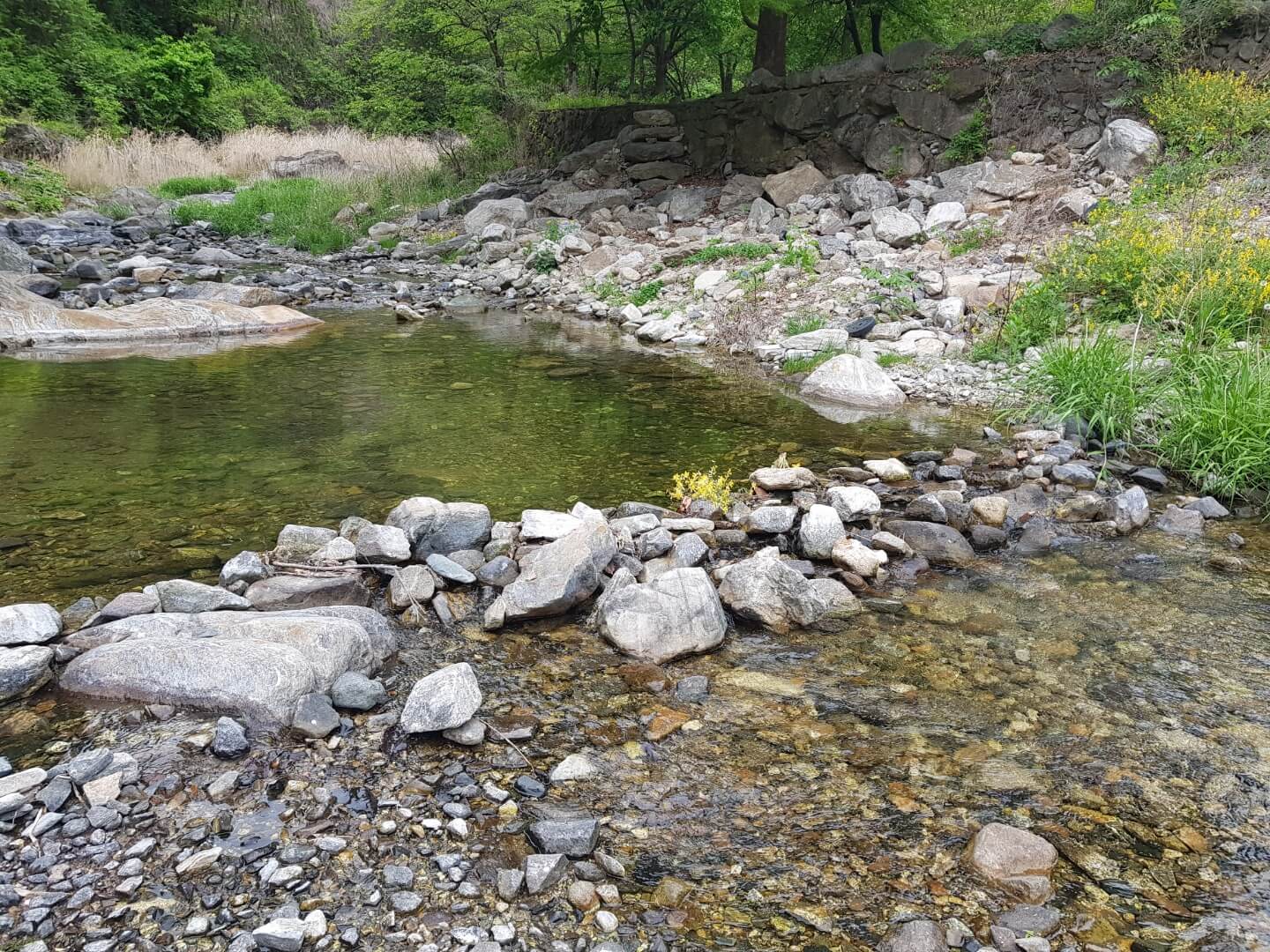 경기도 가평 펜션 레드 펜션 리뷰 스파 펜션, 계곡 숲뷰