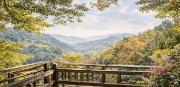 화담숲 모노레일 예약방법 총정리