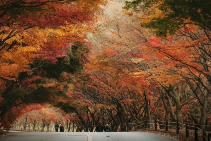 내장산 케이블카 요금 및 시간