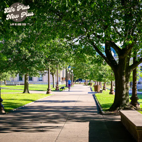 공원이 있는 역세권 아파트