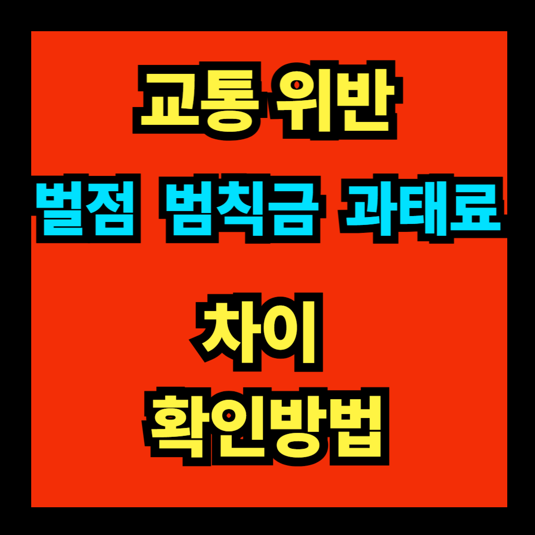 벌점 범칙금 과태료 차이와 확인 방법