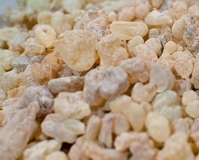 보스웰리아-구입-시-주의사항