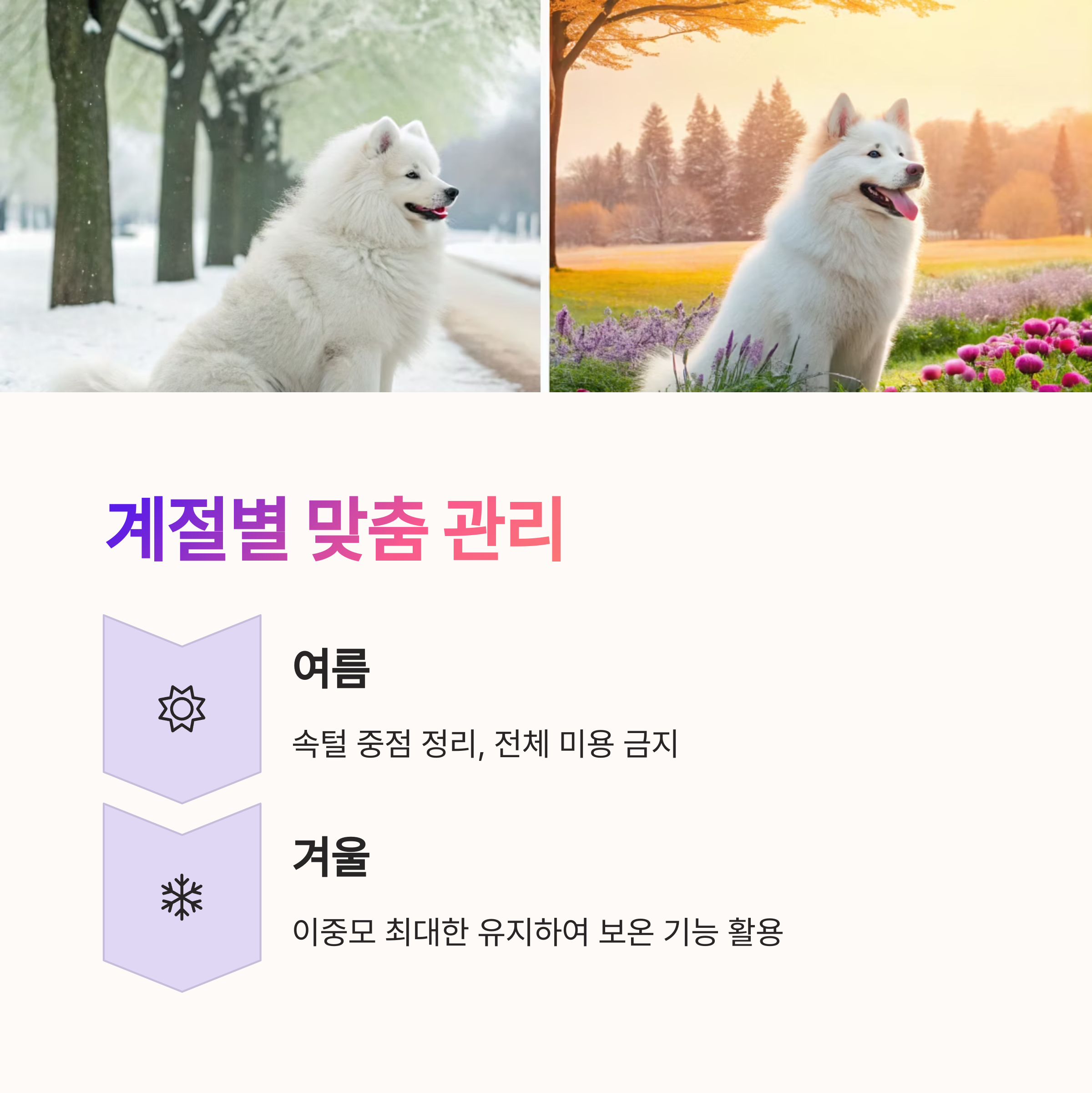 계절별 맞춤 관리