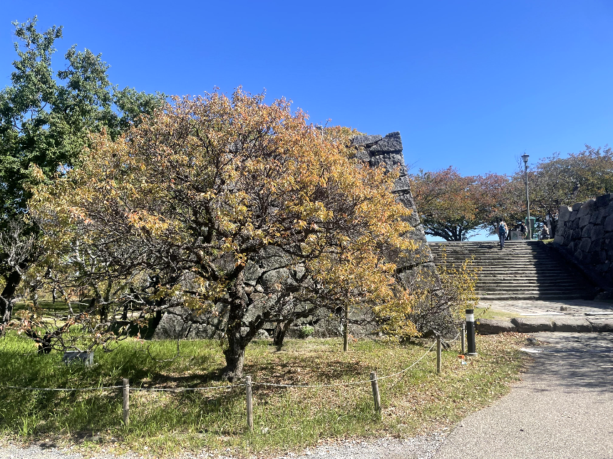 후쿠오카 성터 인근주변
