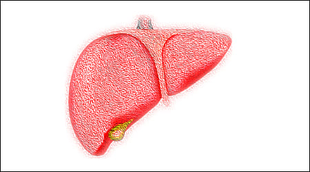 간 모양 일러스트