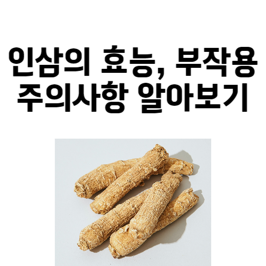 인삼의 효능과 부작용, 주의사항 알아보기
