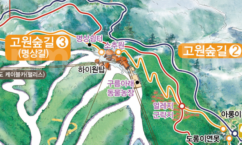 ▲ 하이원탑 주변과 명상쉼터 상세 뷰