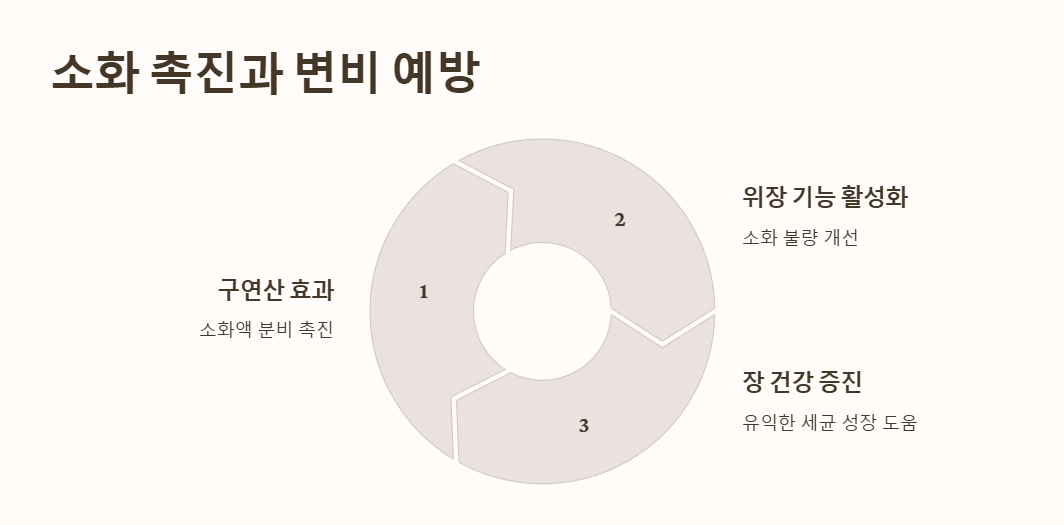 레몬 효능, 소화 촉진과 변비 예방