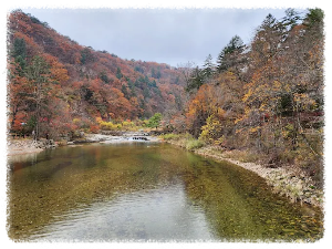 오대산월정사전나무숲길