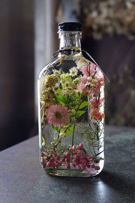 에키네시아 효능