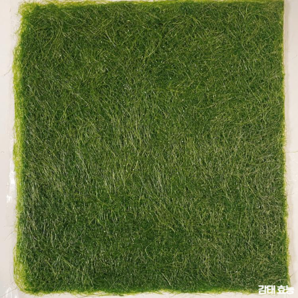 감태 효능 : 감태 효능과 부작용 알고 드세요!