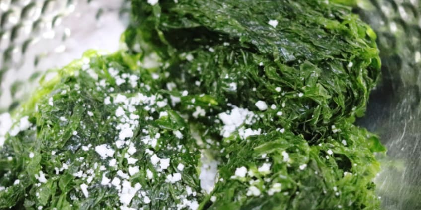 양동이에 담겨 있는 파래