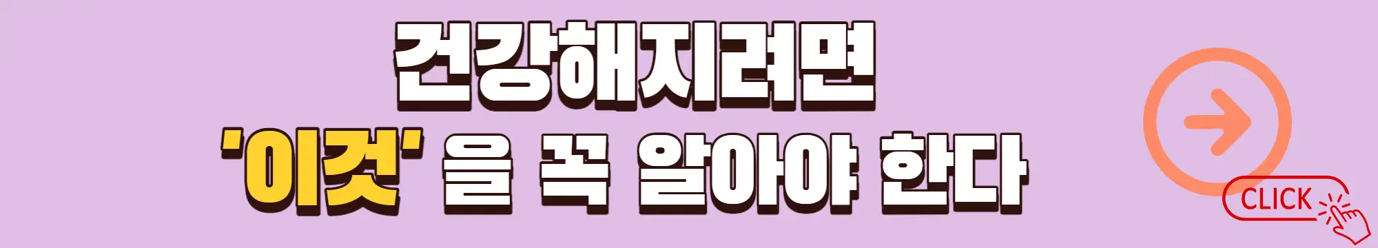식이섬유