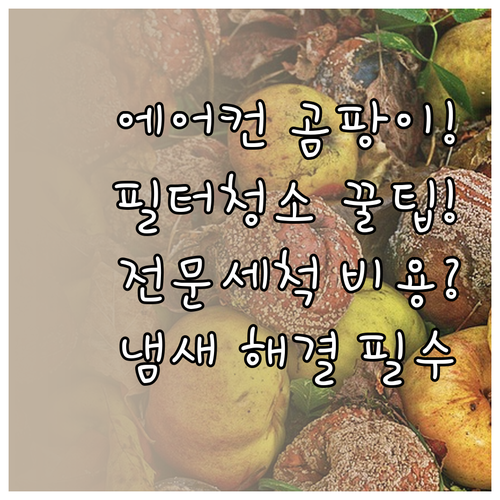 에어컨에서 나는 곰팡이 냄새, 필터 ..