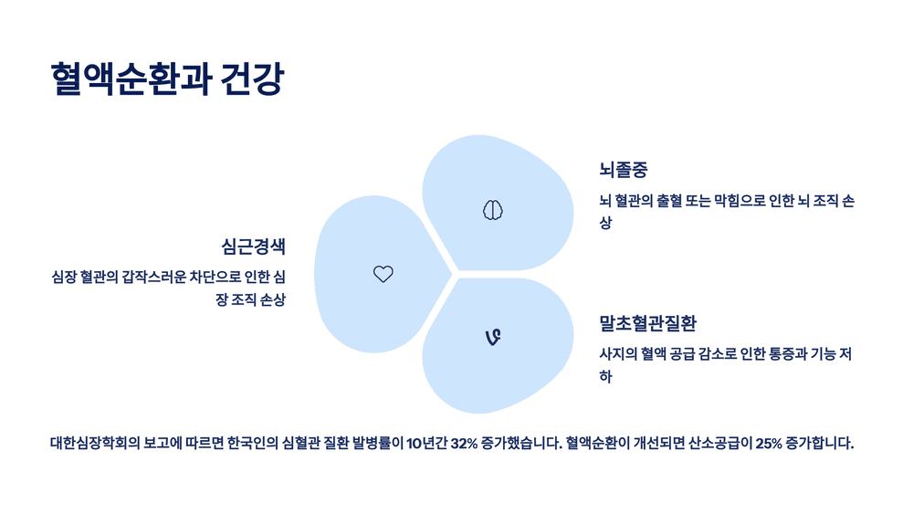 혈액순환과 건강
