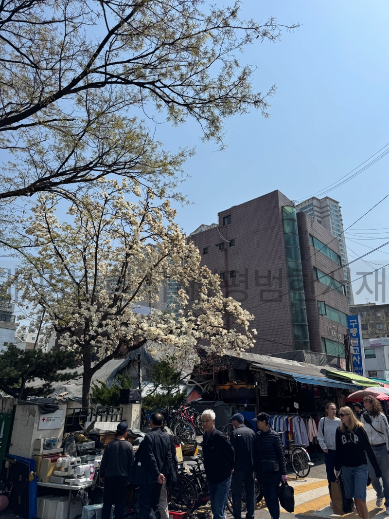 동묘 벼룩시장 풍경2