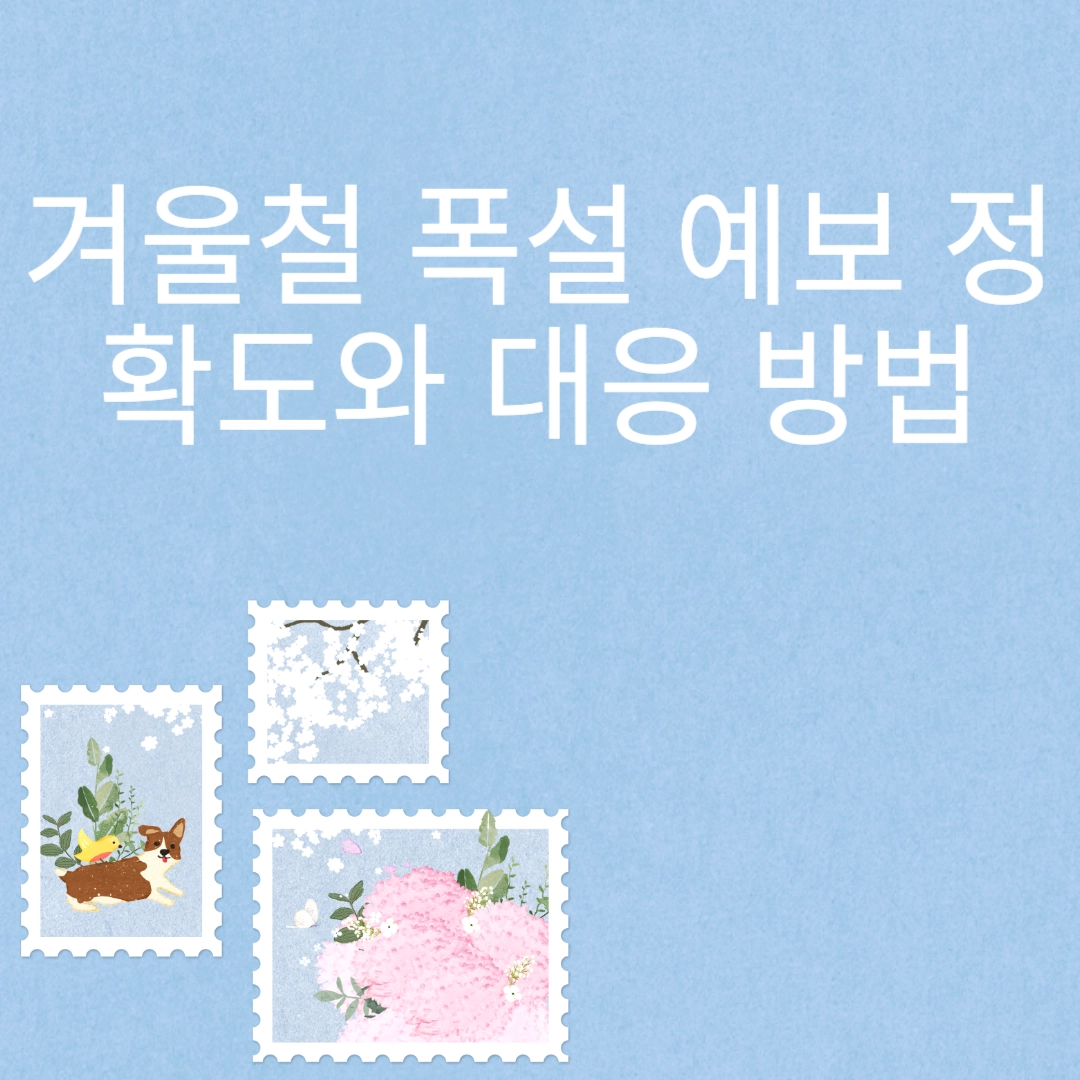 겨울철 폭설 예보 정확도와 대응 방법 포스팅 섬네일