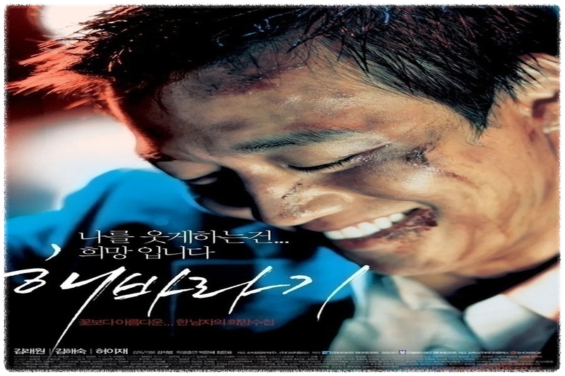 영화 해바라기 관련 이미지