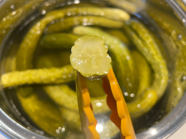 오이지 숙성기간 - 오이지 단면 확인