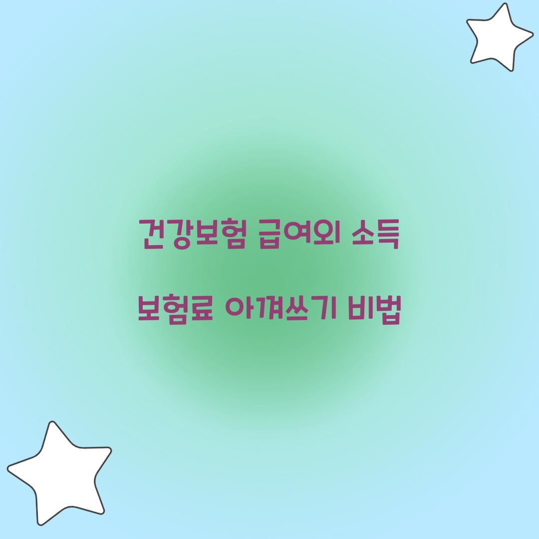 건강보험 급여외 소득 보험료