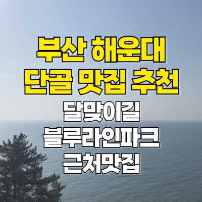 부산 해운대 맛집 해운대블루라인파크 달맞이길 썸네일