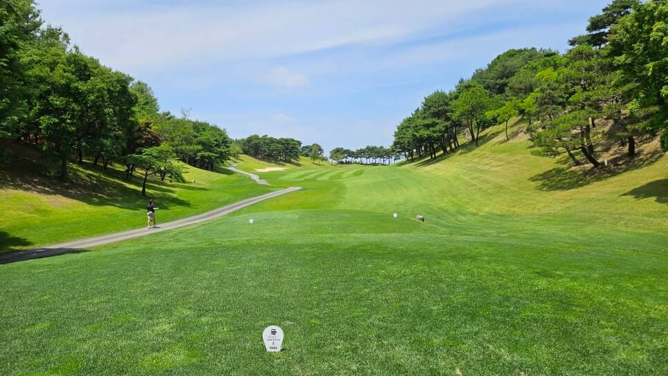 골프장 경험담 여주 신라CC 전통의 품격과 현대의 감성이 만나는 곳 완벽 가이드