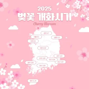 벚꽃 개화시기 2025 만개시기 히든스팟_12