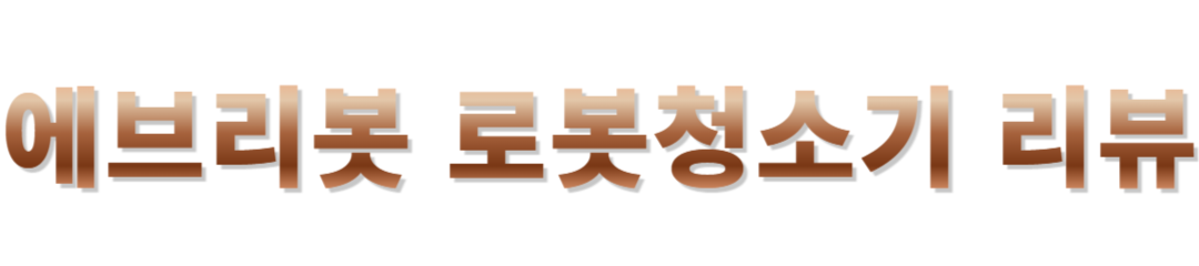 에브리봇 후기