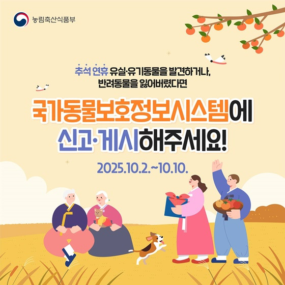 추석 연휴 반려동물 잃어버리면 - 국가동물보호정보시스템에 신고하러가기