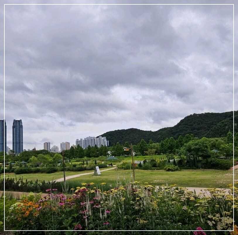울산 가볼만한곳 베스트10 태화강 국가정원
