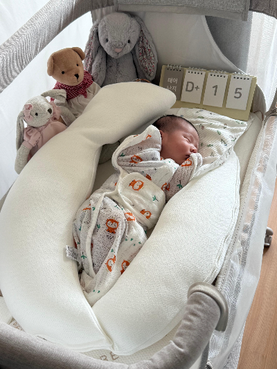 거실에서 아기가 침대에서 자고 있는 모습