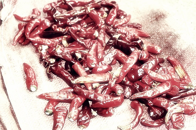 실시간 교통정보