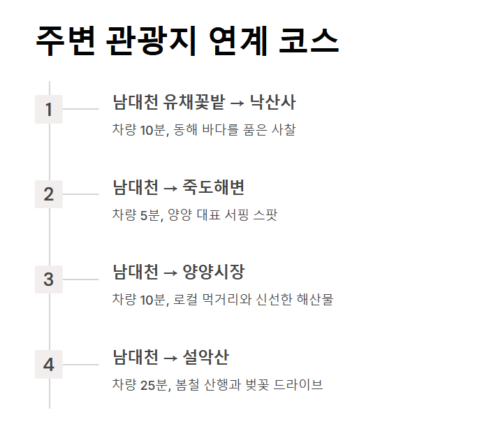 양양 남대천 유채꽃밭
