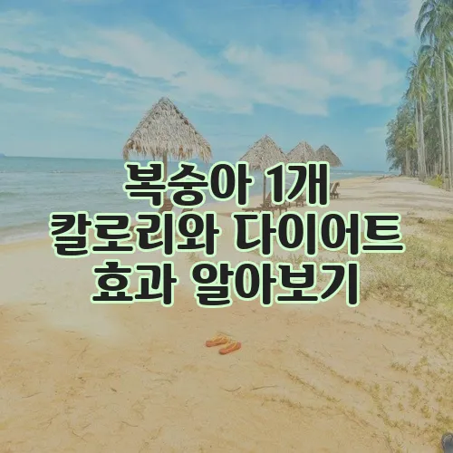 복숭아 1개 칼로리와 다이어트 효과 알아보기, 정말 놀랍습니다!