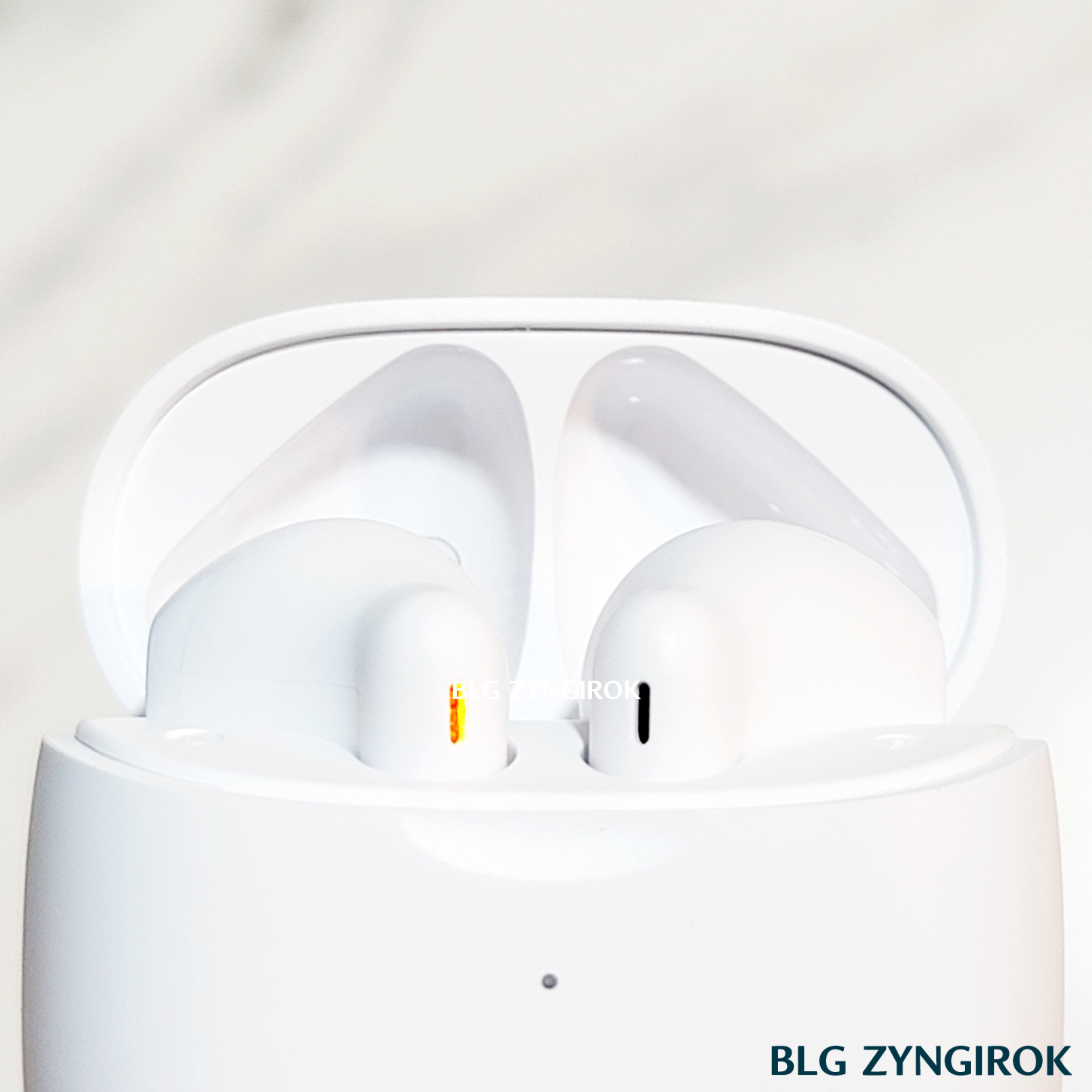 노브랜드 전자기기 : 무선 이어폰 케이스를 연 모습이다.