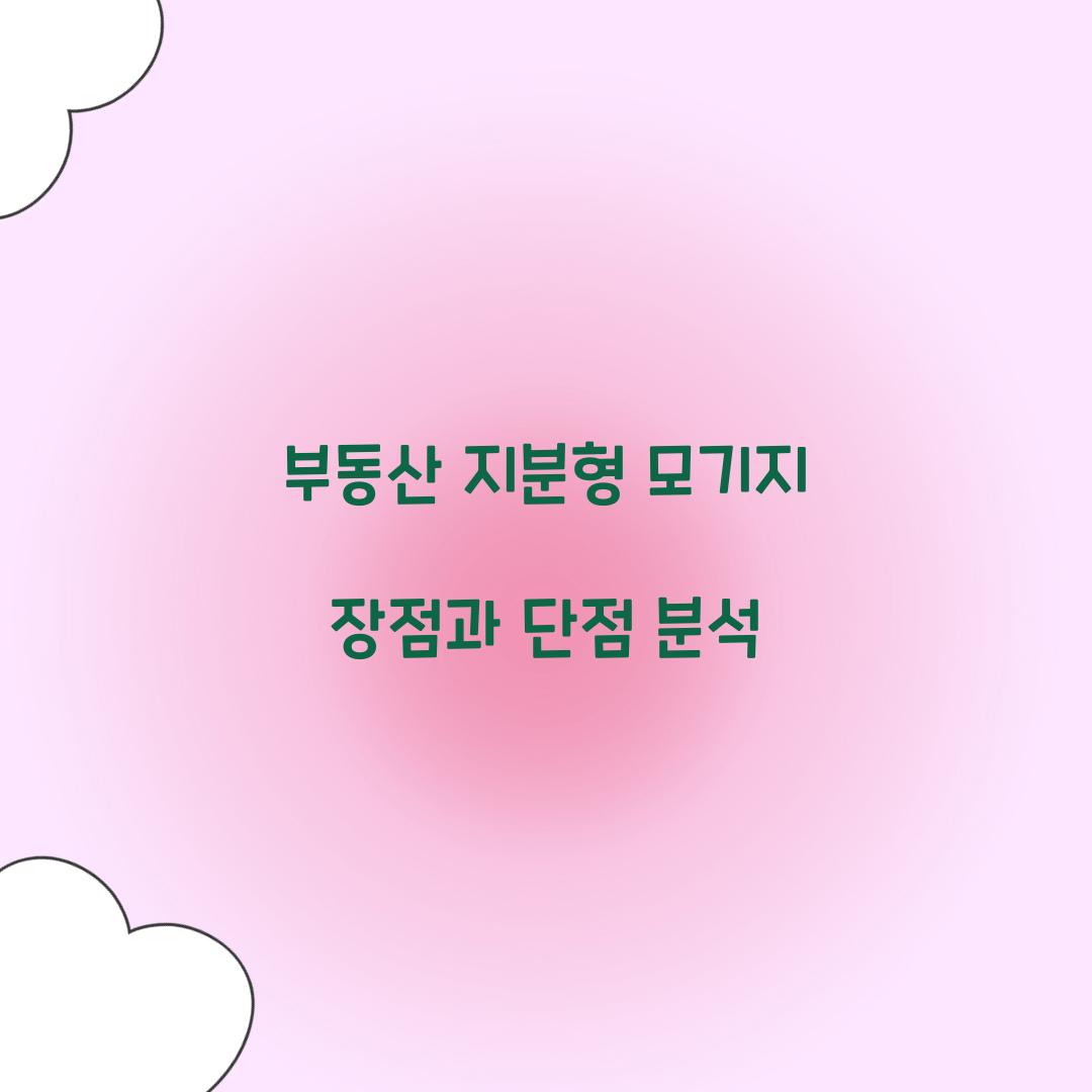 부동산 지분형 모기지
