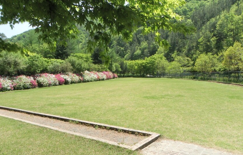 고산 자연휴양림 예약 평상 정자 물놀이 계곡 오토캠핑장 숙박 시설