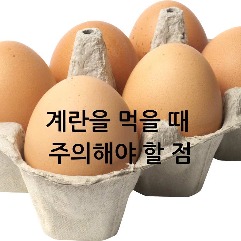 계란에 찍힌 번호&amp;#44; 계란 숫자 표시의 의미