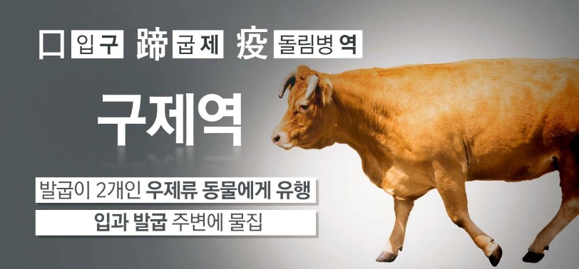 구제역 관련주 5개 종목 추천 및 4년 4개월만 구제역 발생 소식