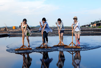 태평염전 & 염전체험